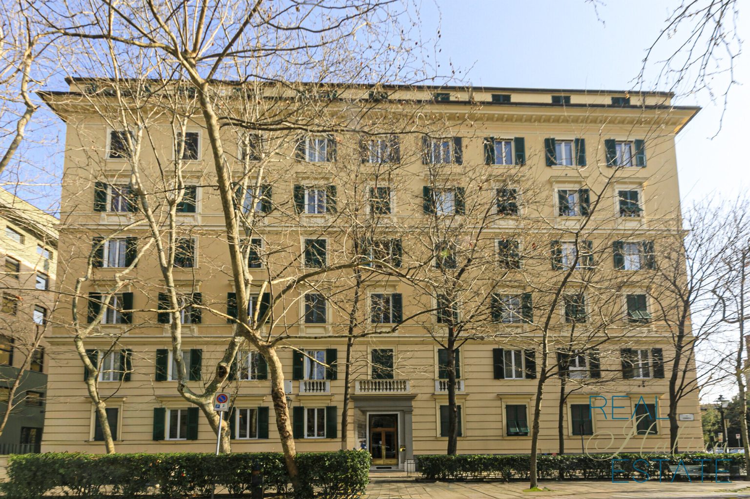 81_v Corsica